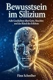 Bewusstsein im Silizium
